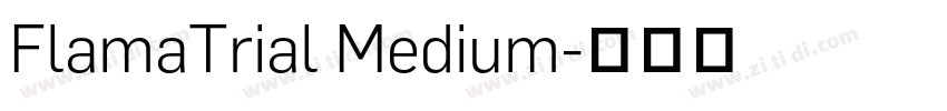 FlamaTrial Medium字体转换